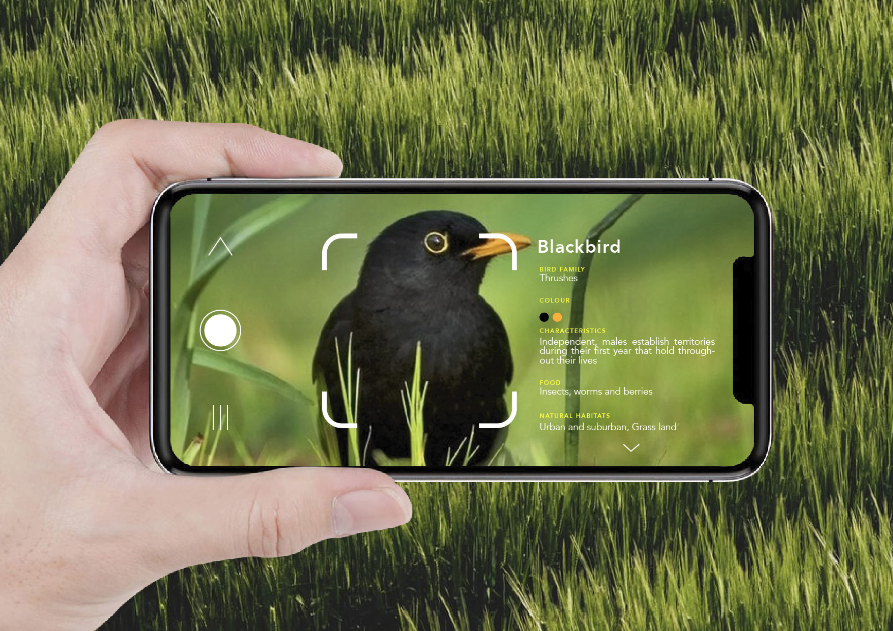 birddy_testingkit-30