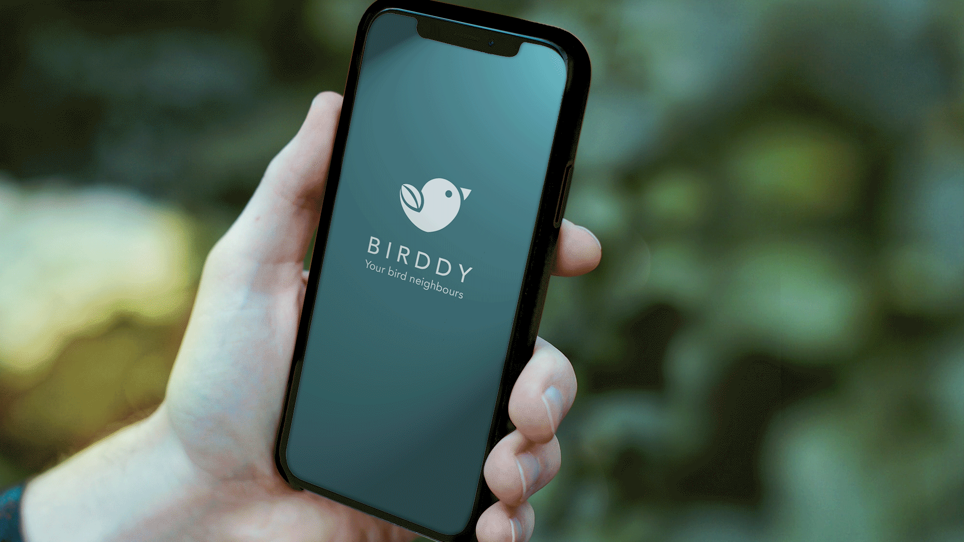 Birddy_05